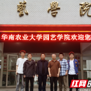 宜章县借节引才赋能特色产业升级