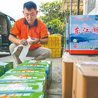 蹲点十村，看乡村振兴再出发｜新华蹲点调研