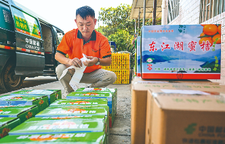 蹲点十村，看乡村振兴再出发｜新华蹲点调研