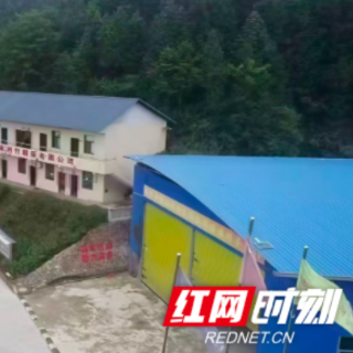 永兴县：一根竹子的三次增值  一个返乡人的共富初心