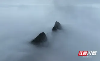 宜章县莽山：初春云海 如梦似幻