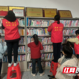 永兴县：童心学雷锋 小手美家园