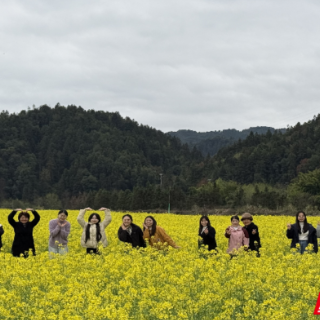 汝城县：千亩油菜花海绘就春日绮梦 热水镇成休闲旅游“顶流”