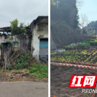 宜章县浆水乡：做好巡察整改“加减法”