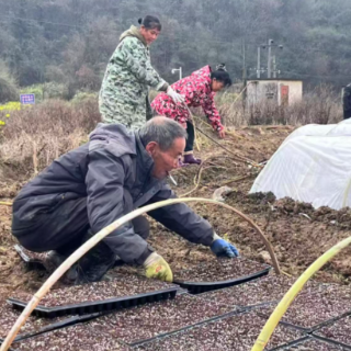 宜章县五岭镇浒口村春耕生产按下“加速键”