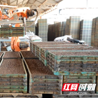 邮储银行安仁县支行：金融活水润秧苗 助力智能春耕跑出“加速度”