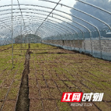 嘉禾县塘村镇：抢抓农时备耕忙