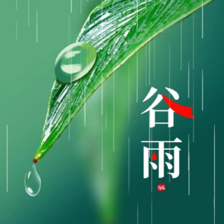 诗歌 | 谷雨有雨