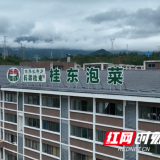 桂东加快泡菜生产线建设 延链强链赋能高山蔬菜产业升级