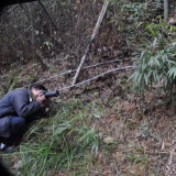 随笔  |  方竹遥