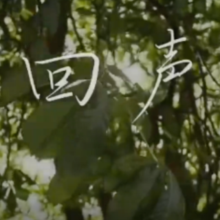 微电影 | 回声