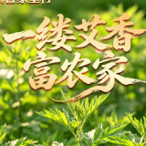 宜章县：一缕艾香富农家