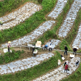 桂东县：“小火车”穿行高山菜园 “振兴路”铺展禾坪梯田
