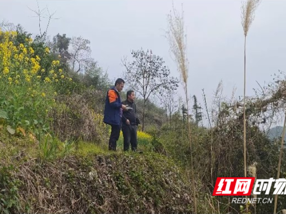 嘉禾县扎实做好汛期地质灾害防治工作