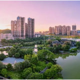 三年,417个典型!郴州“四敢”激荡一池春水