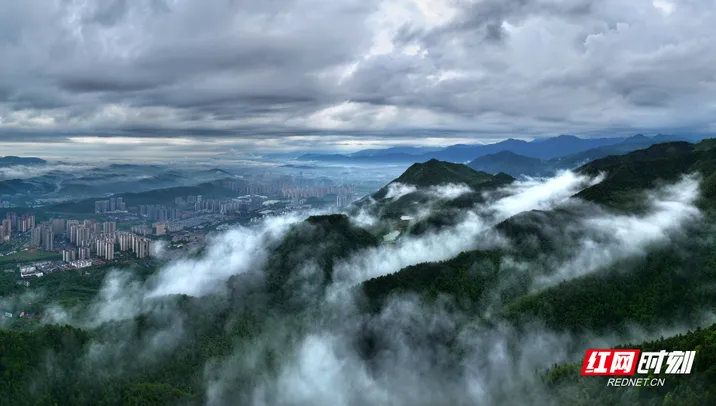 组图 丨 云涌山峦间 城东美成仙