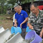 桂阳县:90万尾鱼苗安家母亲河