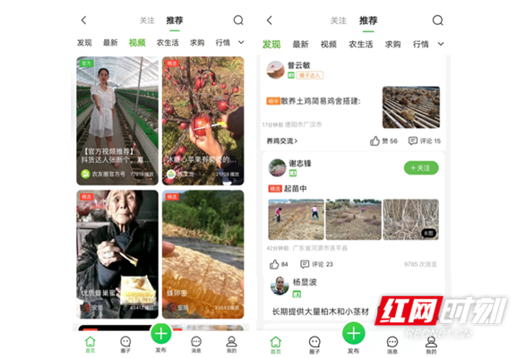 惠农网1.png 惠农网1.png