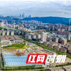 长沙高新区启动企业创新积分制 为企业发展注入“创新力量”