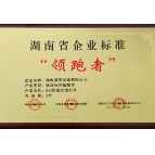 湘潭高新区湘电重装两项产品荣获“湖南省企业标准‘领跑者’”称号
