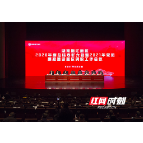 湘江新区举行2020年总结表彰暨党风廉政建设和反腐败工作大会