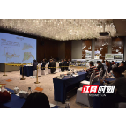 焕新颜！梅溪湖国际新城二期城市设计优化项目评审会举行
