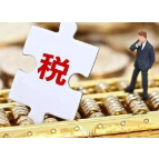 全国人大代表丁士启：税费优惠落地 企业发展有底气