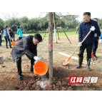 湖南省住建厅组织干部职工开展城市绿化周义务植树活动