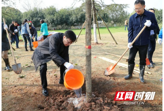 湖南省住建厅组织干部职工开展城市绿化周义务植树活动
