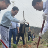 植树添绿保水土 湖南省水利厅一行赴宁乡开展植树活动