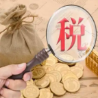 大规模留抵退税实施以来已惠及超20万户纳税人