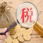 留抵退税助力衡阳企业提振发展信心