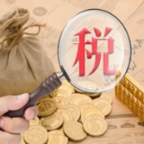 百名企业界代表委员眼中的留抵退税