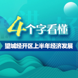 图解丨4个字看懂望城经开区上半年经济发展
