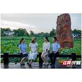留抵退税扩围 湖南“烟火味”正浓