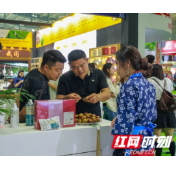 金言木山茶油香满农博会
