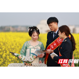 湖南：税惠浇灌“花”满园