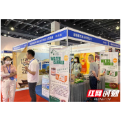 临澧农特产品惊艳亮相2023中国国际电子商务博览会