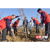 为绿充“植” “道”处是景  湖南各市州积极开展“城市园林绿化周”活动