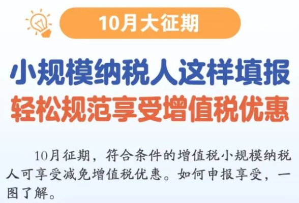 小规模纳税人这样填报，轻松规范享受增值税优惠}