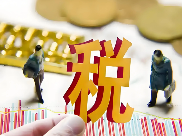 湖南省税警联合依法查处一起涉税中介勾结税务人员虚开增值税发票案件}