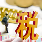 湖南省税警联合依法查处一起涉税中介勾结税务人员虚开增值税发票案件