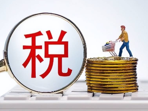 怀化靖州税务：榜样精神砺青春 青年共话奋进路}