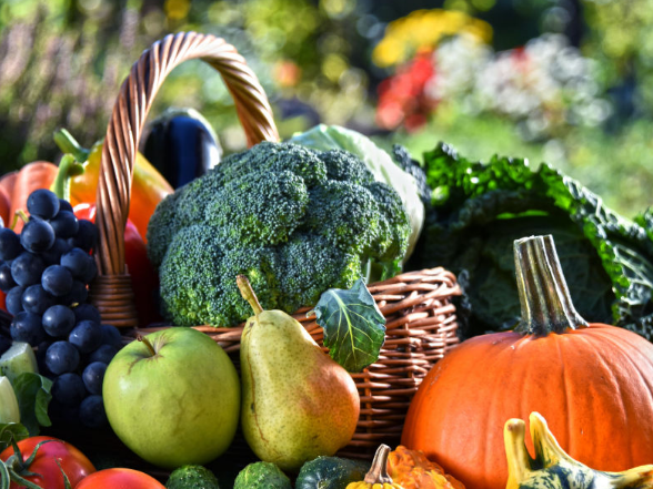 2025年国家农产品质量安全例行监测合格率98%