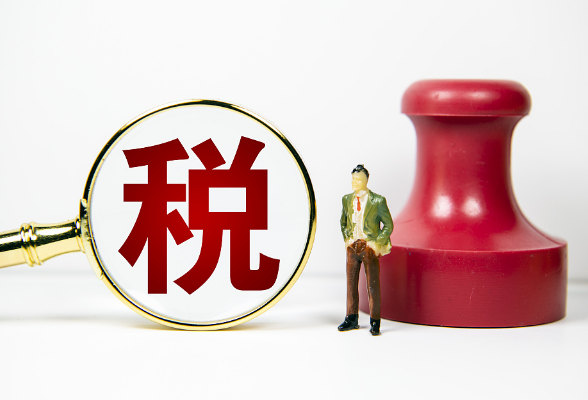 国家税务总局发布“2025年税务部门治理违规招商引资涉税问题 服务全国统一大市场建设六项举措成果”}