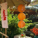 快乐长沙过大年丨长沙春节最全农家乐攻略来了