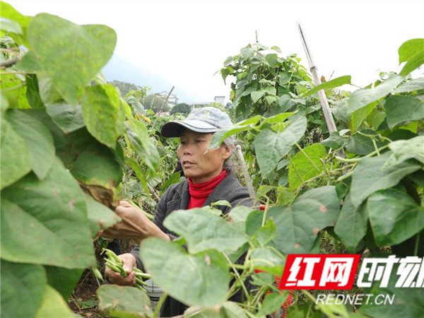 图片6.jpg 图片6.jpg