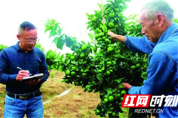 图片5.jpg 图片5.jpg