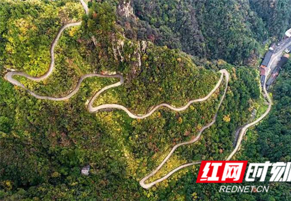 图片4.jpg 图片4.jpg