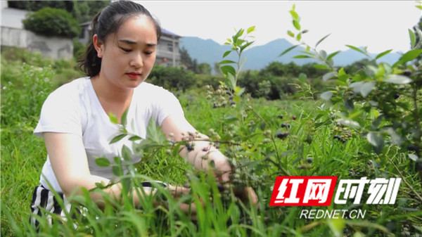 暴风截图2020111021613610.jpg